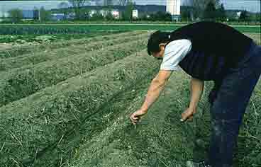 Bild 4 Reihenhügel in Village-Neuf